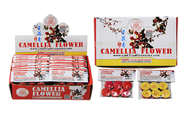 Camelia Flower 6-pack
